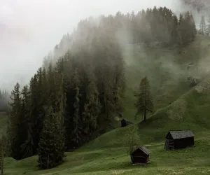 Wygłuszenie podłogi drewnianej - jak to zrobić prawidłowo